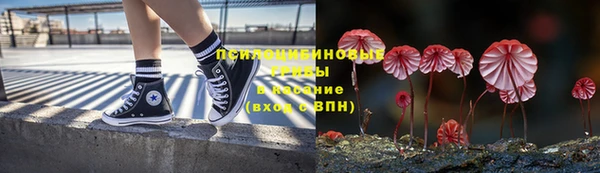 гидропоника Арсеньев