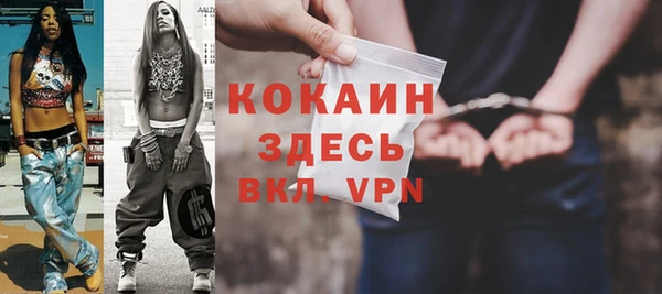 индика Армянск