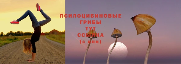 индика Армянск