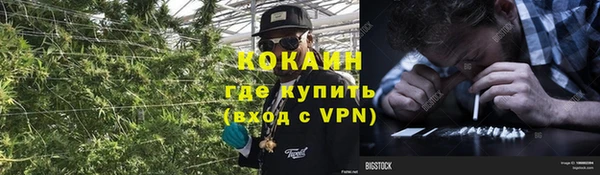 индика Армянск